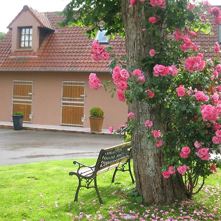 Hotel Du Moulin Aux Draps Desvres Dış mekan fotoğraf